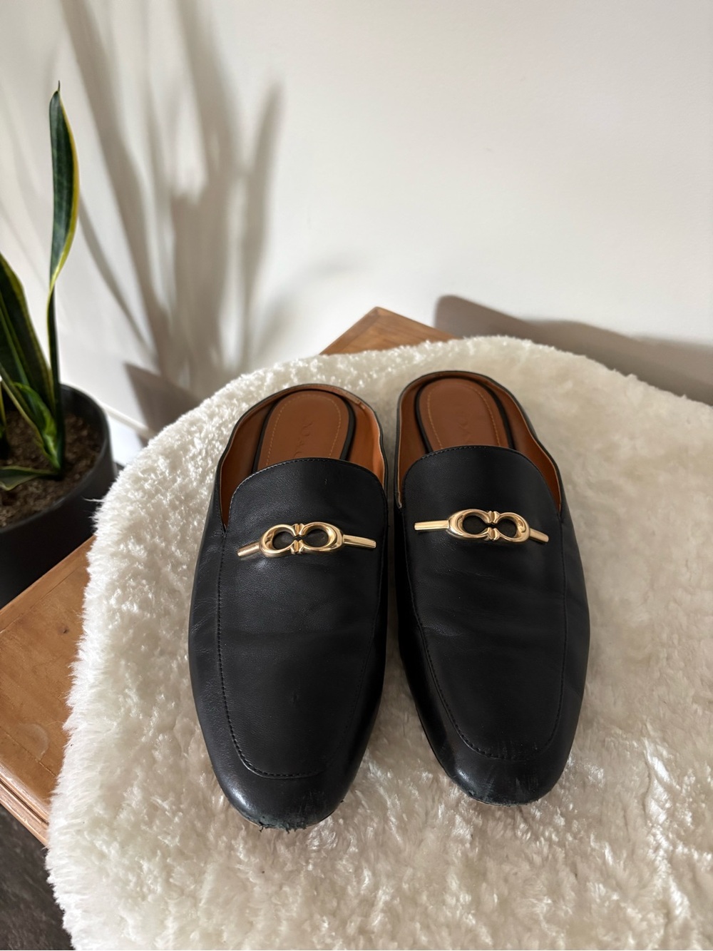 Coach Slip On Flats Dress Shoes